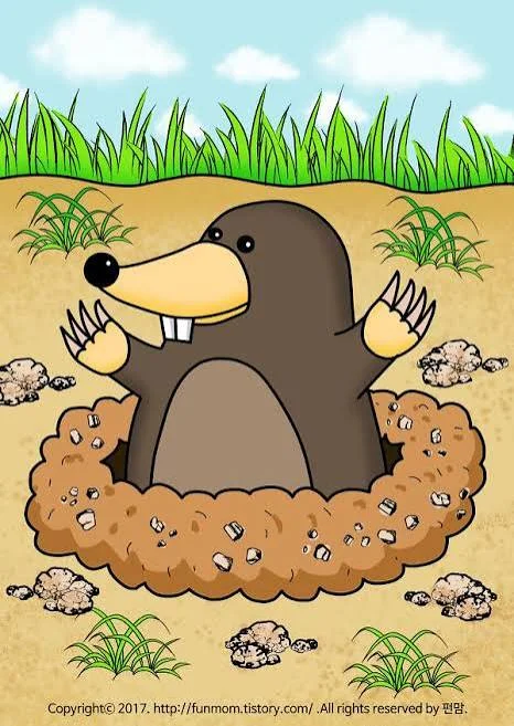 두더지 팡팡! 🐹 소개 사진